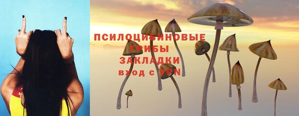 амфетамин Кинешма