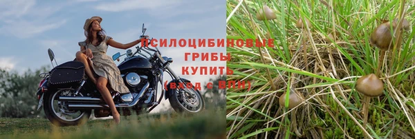 спиды Касимов