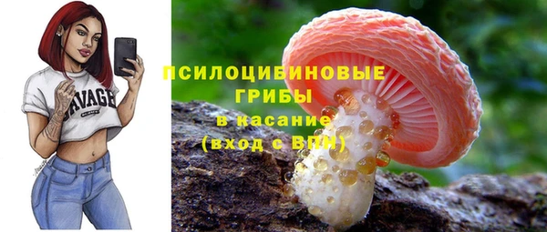 PSILOCYBIN Карталы