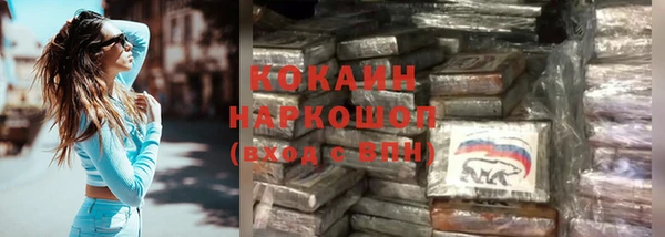 PSILOCYBIN Карталы